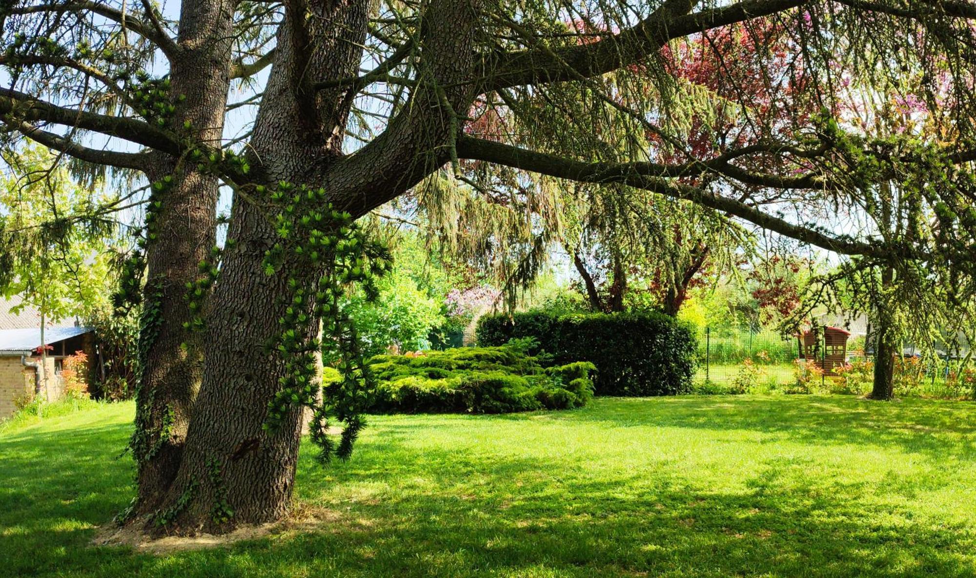 Hedoniste 1 Villa Herpy-l'Arlesienne Buitenkant foto