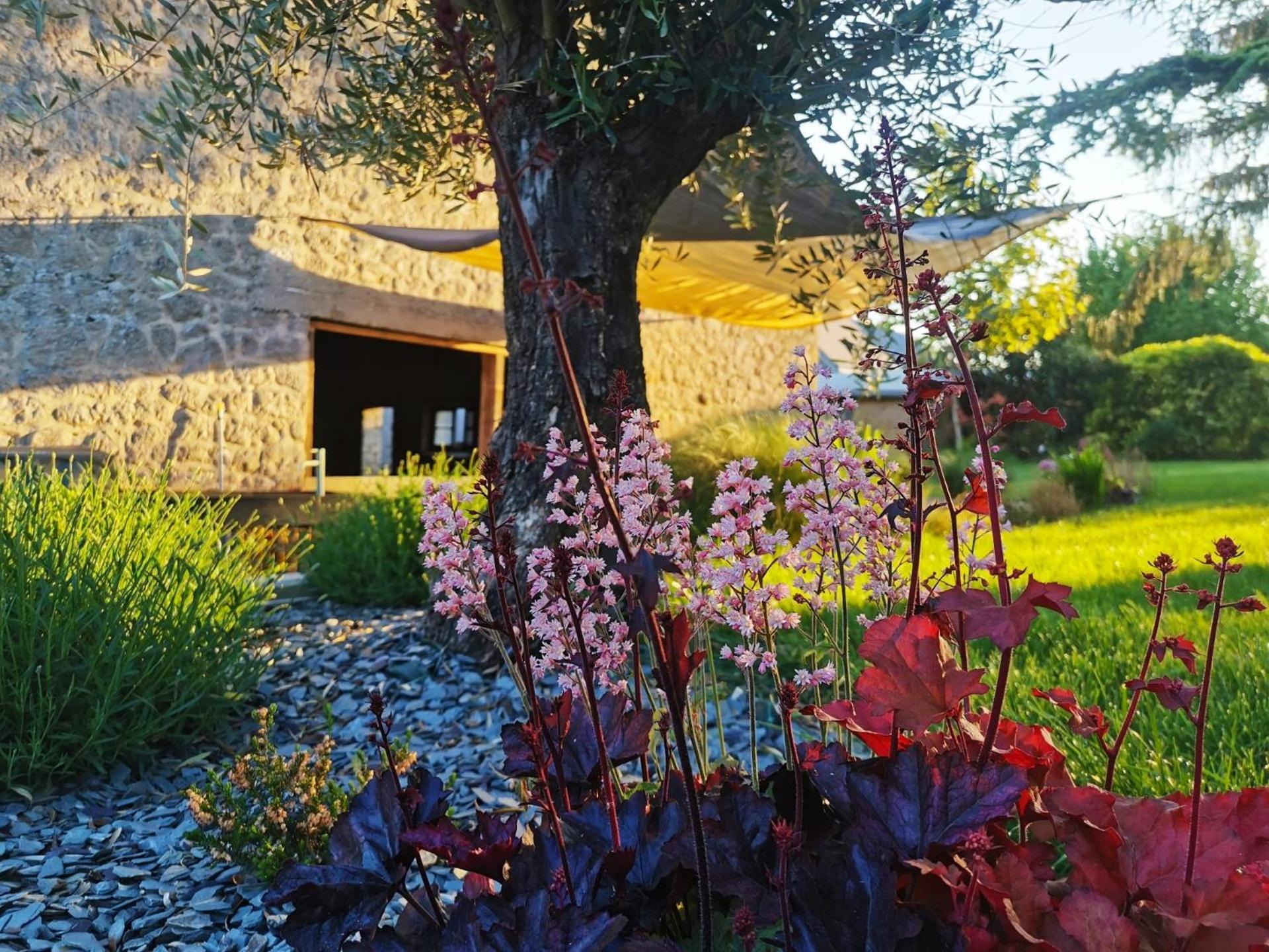 Hedoniste 1 Villa Herpy-l'Arlesienne Buitenkant foto
